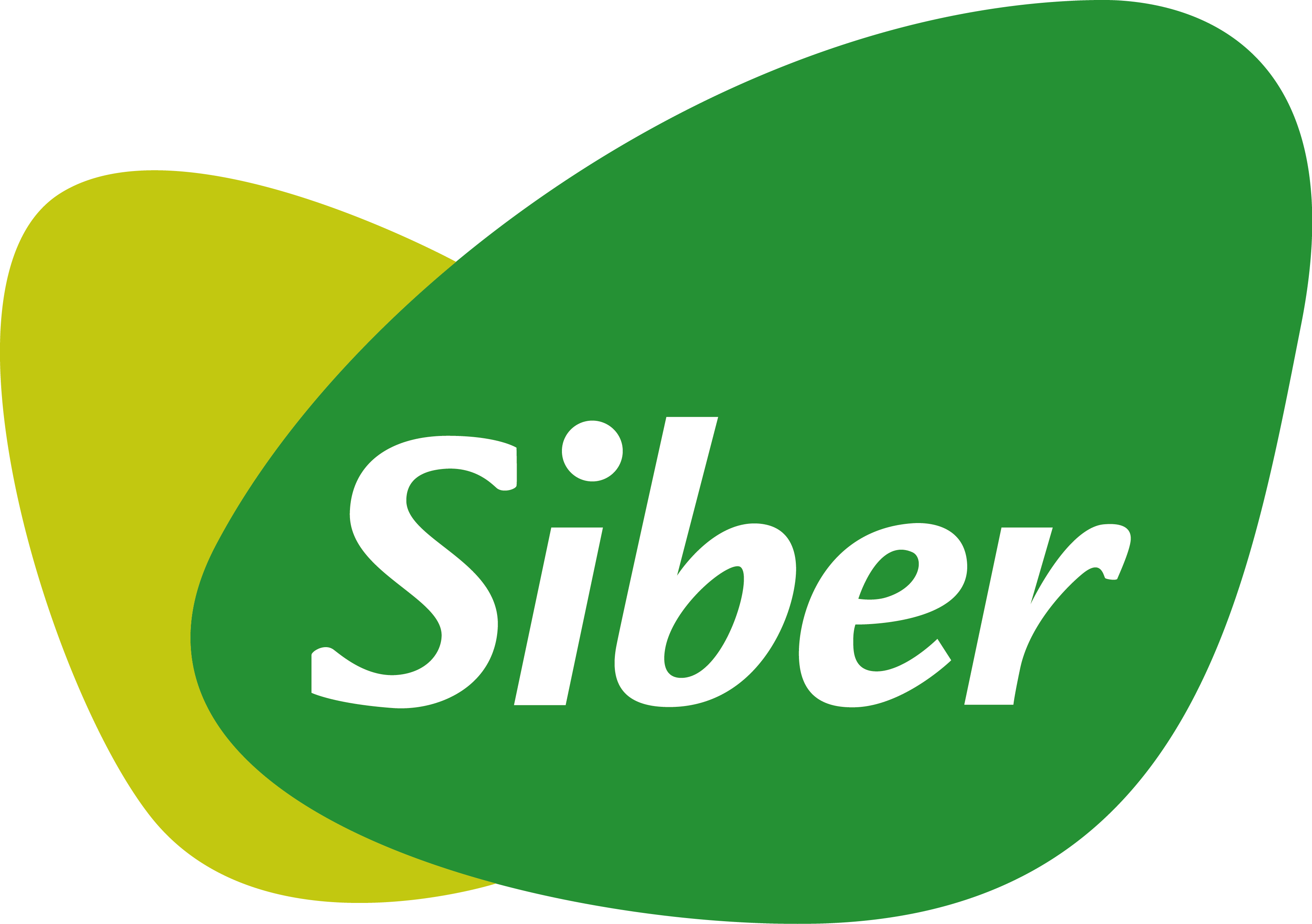 logosiber