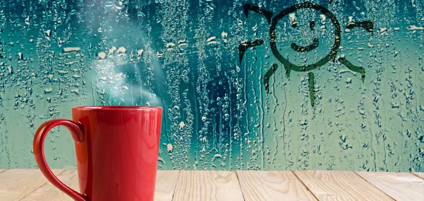 Absorber la humedad, ¿qué solución es la mejor?