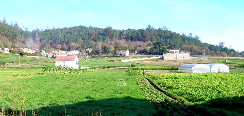Consequências do gás radão: uma aldeia afetada por câncer