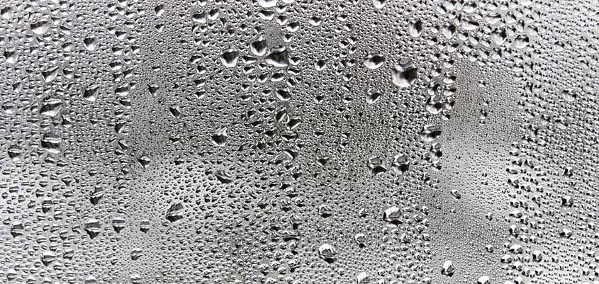 Recomendaciones para mejorar la humedad en el hogar