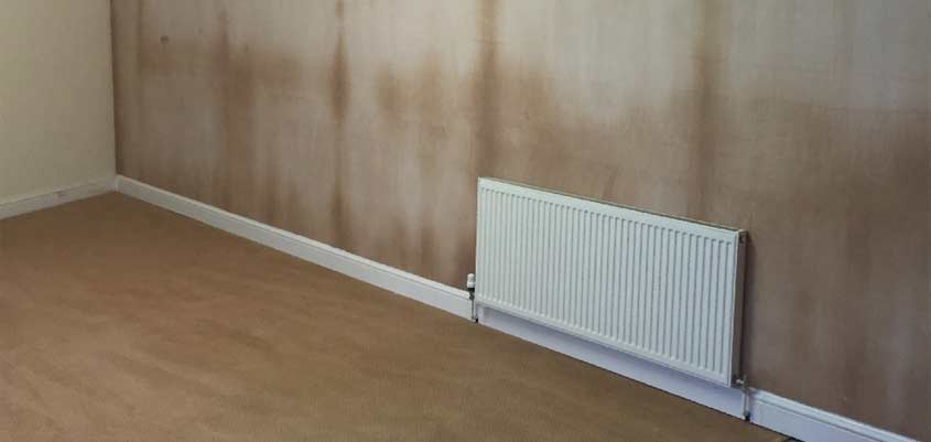 Humedades en paredes, ¿cómo solucionar este problema?