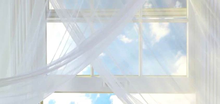 Purificar o ar, o que nos aporta na sua renovação?