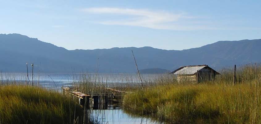 Rehabilitación ecológica, soluciones eficientes para edificios
