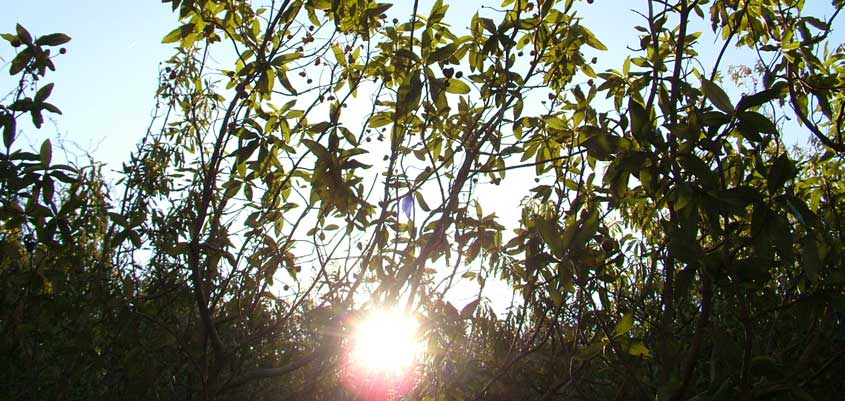 Ventilación mecánica de doble flujo en verano